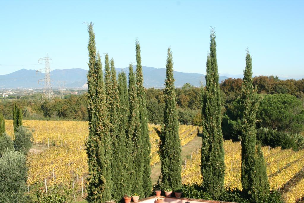 Agriturismo Gli Archi Fauglia Exteriér fotografie