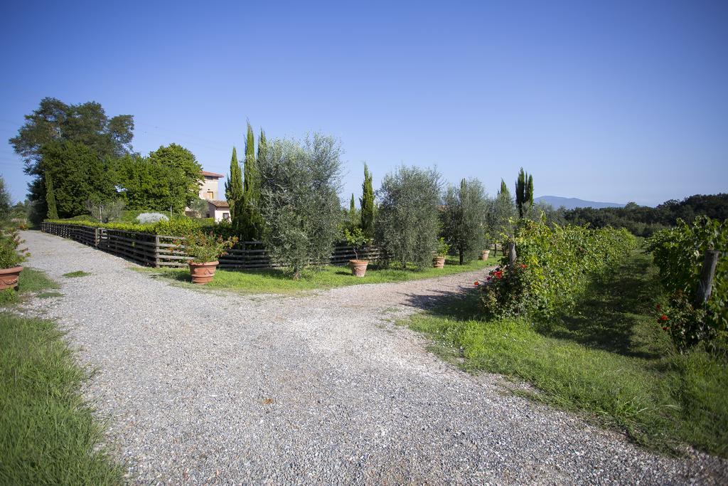 Agriturismo Gli Archi Fauglia Exteriér fotografie