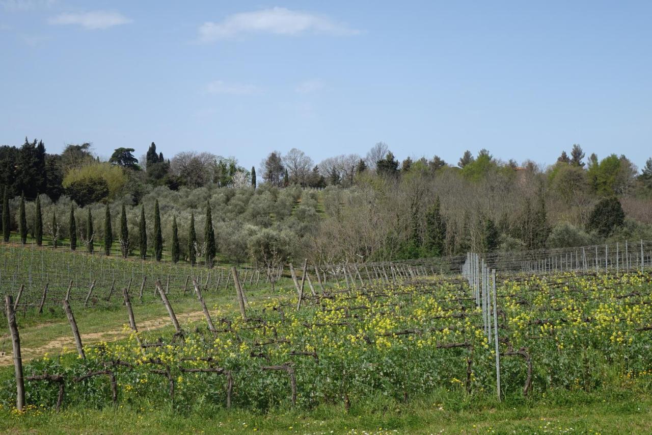 Agriturismo Gli Archi Fauglia Exteriér fotografie